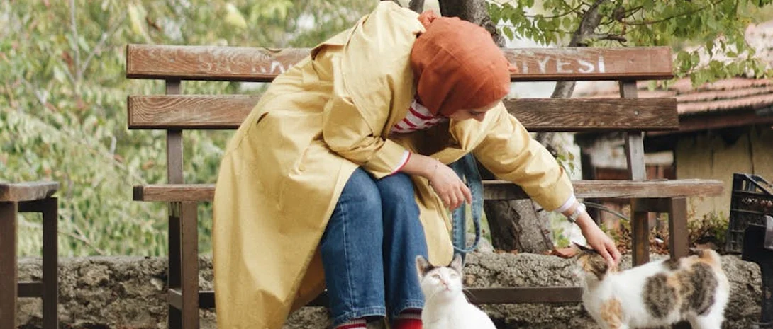 Woman sitting on a wooden bench petting a cat, representing grounding techniques and animal-assisted healing for complex developmental trauma.